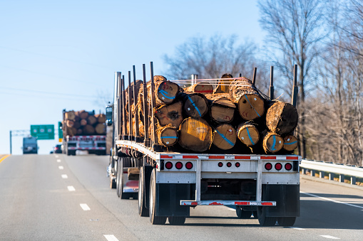 Industrial heavy duty truck trailer hauler delivering wood lumber on highway road in Lynchburg, Virginia rural countryside
