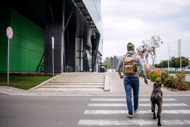istock Young man and his dog walking 1444999321