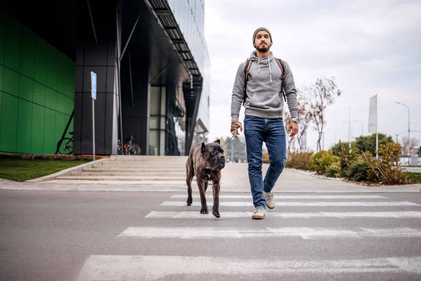 istock Young man and his dog walking 1444999339