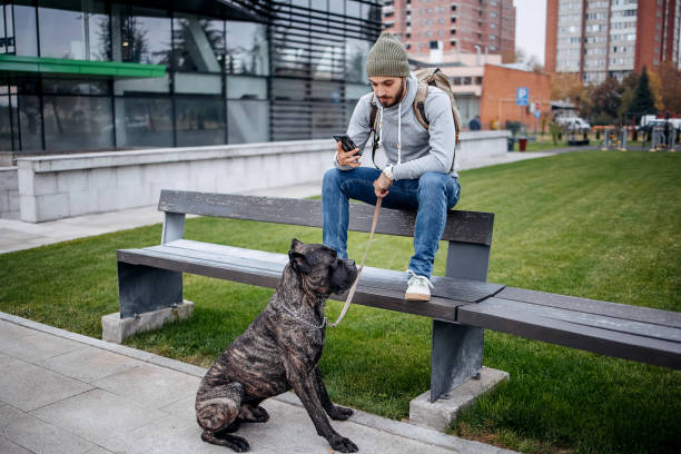 Free Stock Photo of A Man Sitting on a Bench Next to a Dog | Download ...