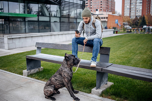 Man sits on a bench with his dog and uses a mobile phone