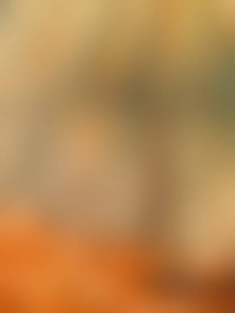 istock Defocused abstract background. Soft light in orange. Natural blur effect. Full frame of bright bokeh style tones. Ideal for designs and artistic creations. 1445001439