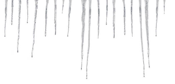 istock Icicles hanging isolated on white background. Winter background. Weather. Climate. Ice. Cut out 1445002474