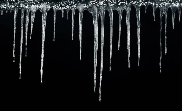 istock Icicles hanging isolated on black background. Winter background. Weather. Climate. Ice. Cut out 1445002576