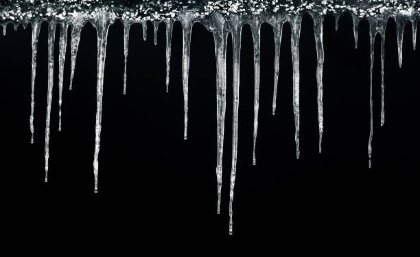 Icicles hanging isolated on black background. Winter background. Weather. Climate. Ice. Cut out stock photo