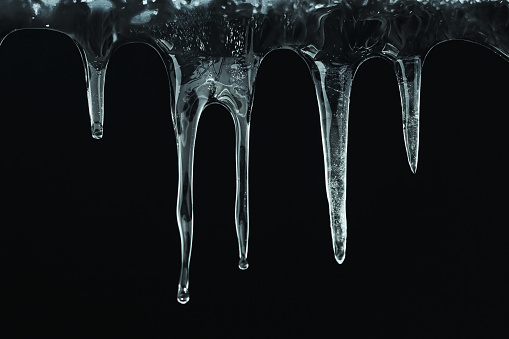Icicles hanging isolated on black background. Winter background. Weather. Climate. Ice. Cut out