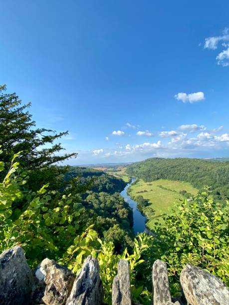 istock Symonds Yat Gloucestershire England Meandering River in Nature Forest 1445006969