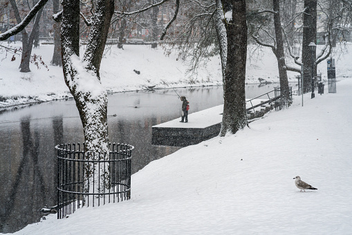 Winter landscape in snowy park in Riga, Latvia