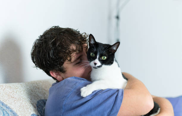 istock boy and black and white cat: real love. 1445012247