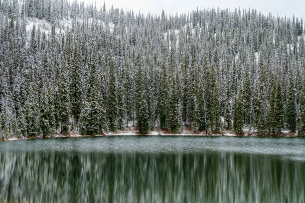 istock A lake with a winter scene in British Colombia 1445012406