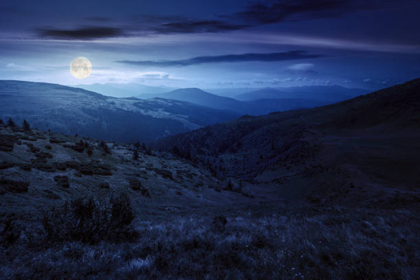 istock rolling hills and grassy meadows of carpathians 1445012452