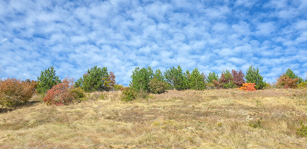 Hill in autumn colors with dry grass and bushes against blue sky