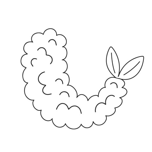 tempura garnelen einfaches handgezeichnetes doodle. traditionelles asiatisches essensgericht. otline, konturzeichnung, malvorlage. vektorillustration isoliert auf weißem hintergrund - cajun food stock-grafiken, -clipart, -cartoons und -symbole
