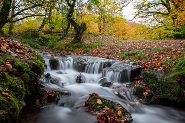 istock Robbers Bridge in Exmoor National Park 1445016649