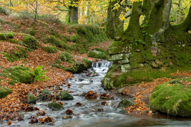 istock Robbers Bridge in Exmoor National Park 1445016978