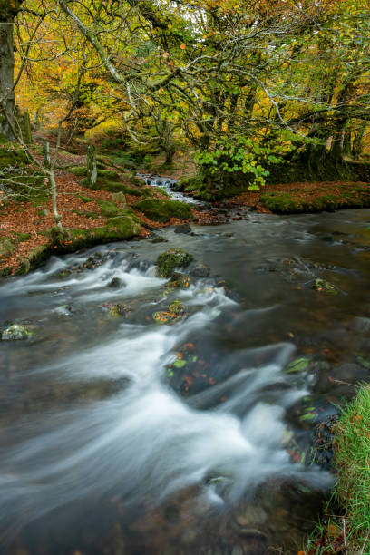 istock Robbers Bridge in Exmoor National Park 1445017719