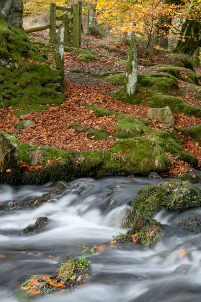 istock Robbers Bridge in Exmoor National Park 1445017795