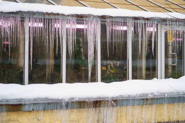 altes gewächshausgebäude mit eiszapfen, die während der frost- und tauzyklen im winter vom dach herabhängen - icicle hanging snow moving down stock-fotos und bilder