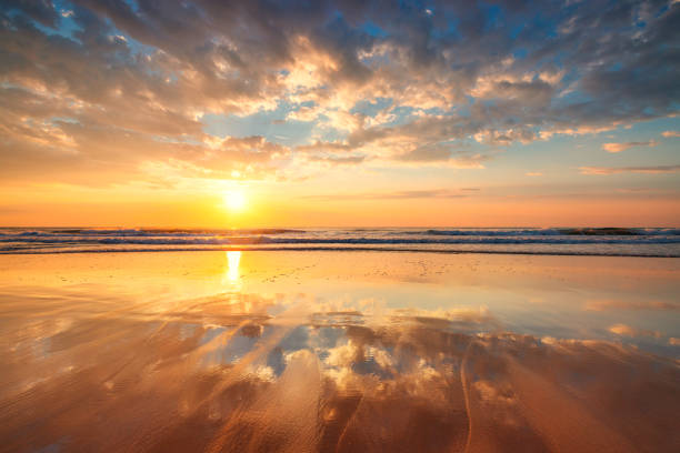 istock Beach sunrise over the tropical sea 1445022599