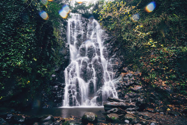 istock Waterfall in dark green forest. Mountain cascade river splashing on dark rock stones 1445024208