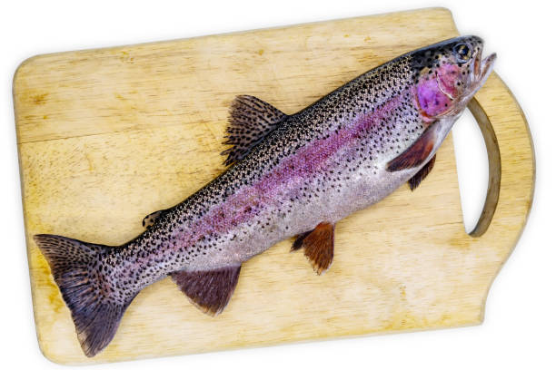 Rainbow trout on a cutting board isolated on white background, clipping path included