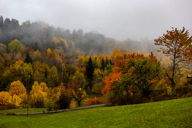 istock Autumn view in Savsat. Artvin, Turkey. 1445026730