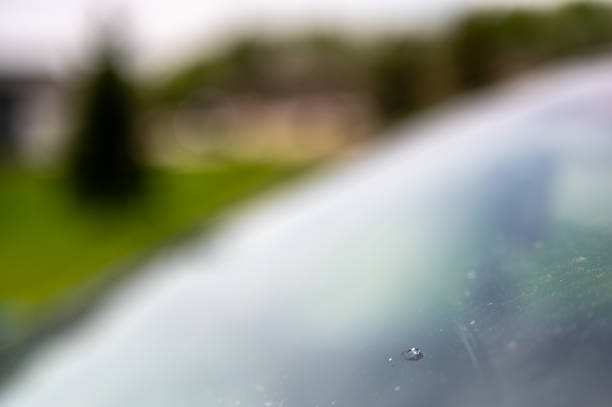istock Chip in the glass windshield of a vehicle. 1445029272