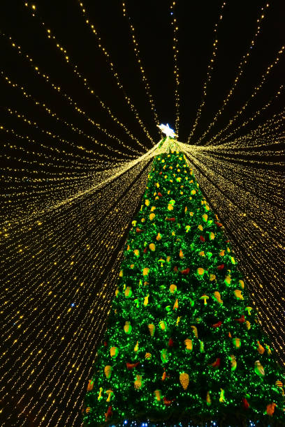 istock Christmas tree glows on the square in the city. Evening, night illumination 1445029392