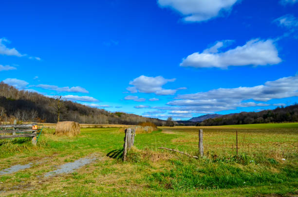 The Scenic Route, Rural Views from Virginia State Highway 631