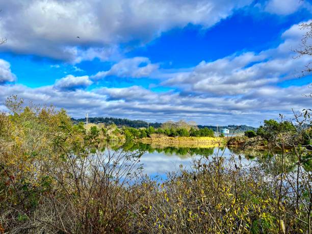 istock Yaquina Bay - Newport, Oregon 1445037724