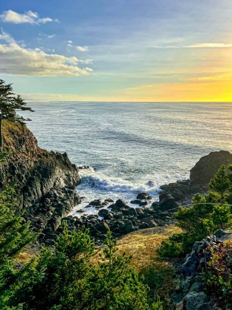 istock Nye Beach - Newport, Oregon 1445038588