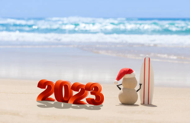 istock Sandy Christmas Snowman is watching the waves 1445039686