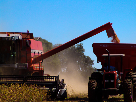 Mato Grosso, Brazil, april 29, 2004: Soybean harvesting in Brazil