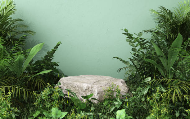 istock Rock object square podium in tropical forest for product presentation and green background. stock photo 1445043130