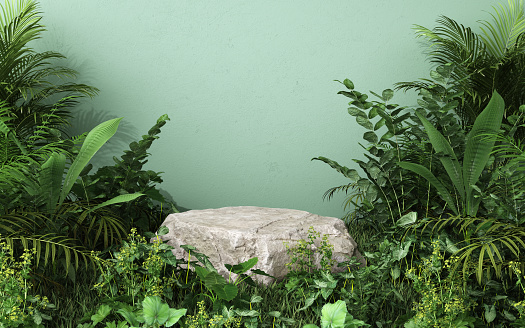 Rock object square podium in tropical forest for product presentation and green background.3d rendering