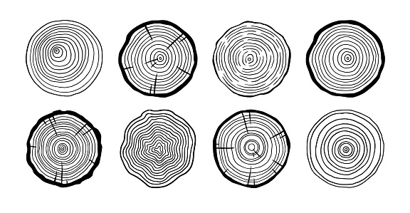 Tree ring wood circle set. Hand drawn tree ring pattern, line ripple circle wood texture. Wood organic slice line design. Vector illustration.