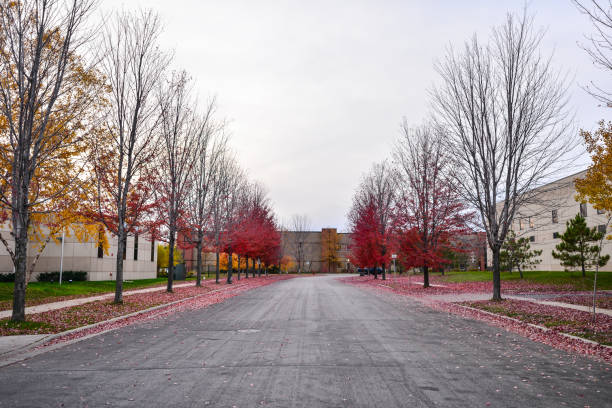 Fall Colors in Twin Cities -  Minnesota