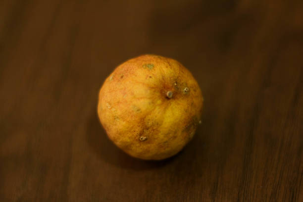 istock Rotten lime fruit on a wooden textured table. Broken yellow lemon fruit. rotten lemons. wrinkled lemons. 1445053719