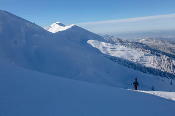 istock An active female freerider with a snowboard hikes on a winter trail 1445055126