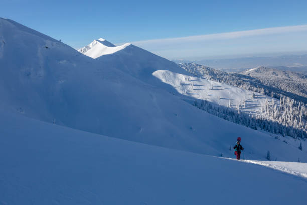 активная женщина-фрирайдер со сноубордом отправляется в походы по зимней тропе - skitour стоковые фото и изображения