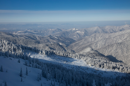 Massifs of spruce forest are covered with snow in the winter mountains. Beautiful Carpathian mountain ranges with the sunset horizon