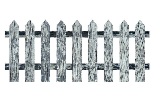 istock Decayed Wooden Fence Isolated on White Background, Suitable for Presentation, Backdrop and Web Templates. 1445059987