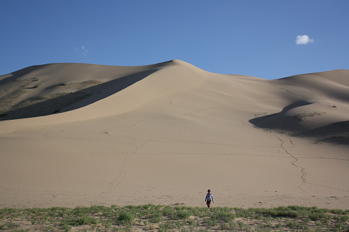 Hiking along the green vegetation and Khongor sand dunes of Gobi Desert, Umnugovi province, Mongolia.