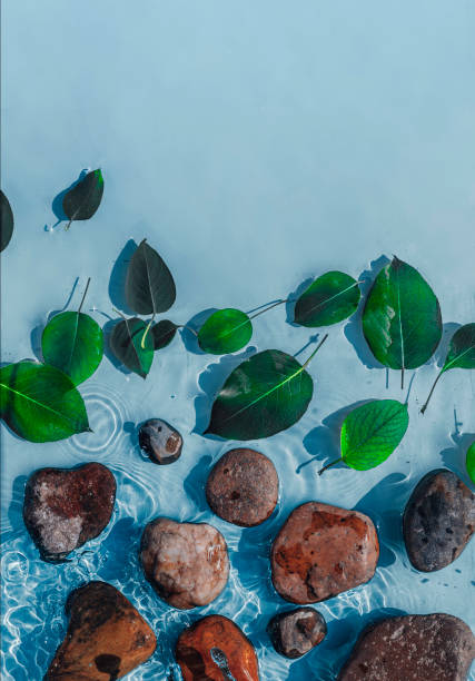 increspatura dell'acqua con foglie verdi e pietre. sfondo blu alla moda per la presentazione del prodotto cosmetico. spazio di copia - nature ripple summer plant foto e immagini stock