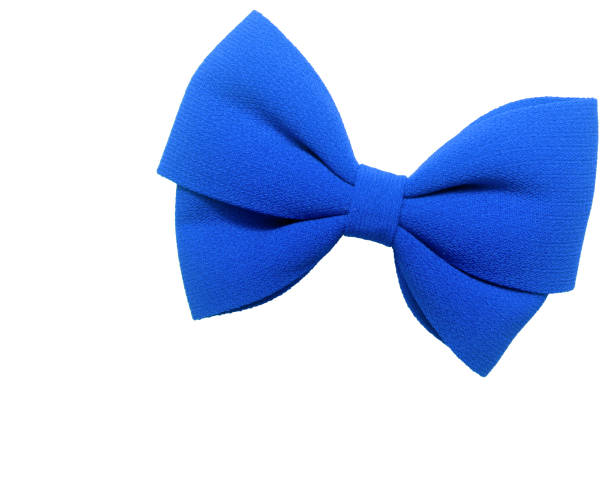 istock Navy blue bow tie isolated on white background 1445073804