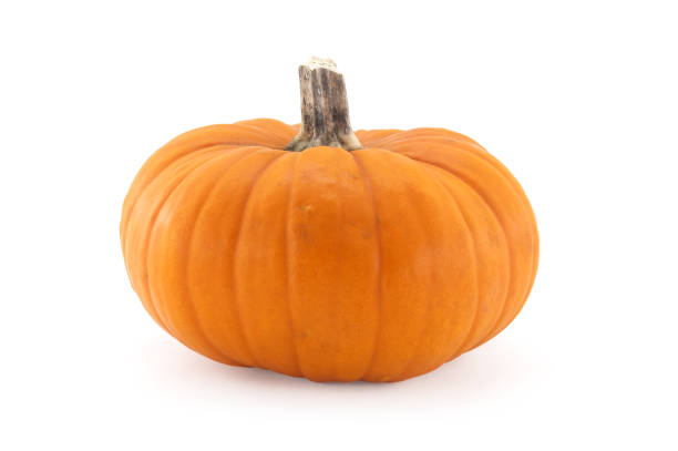 istock Pumpkin isolated on white background 1445075958