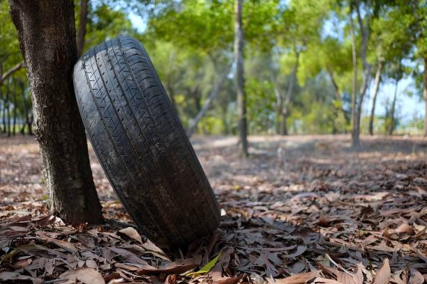 istock Old Car Tire Leaning on the Tree in the Park 1445076008