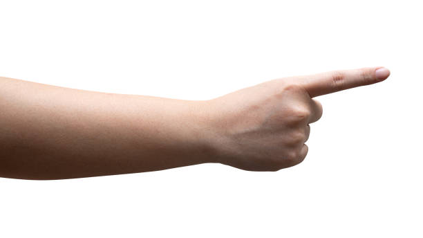 istock Woman hand touching or pointing to something isolated. 1445077798