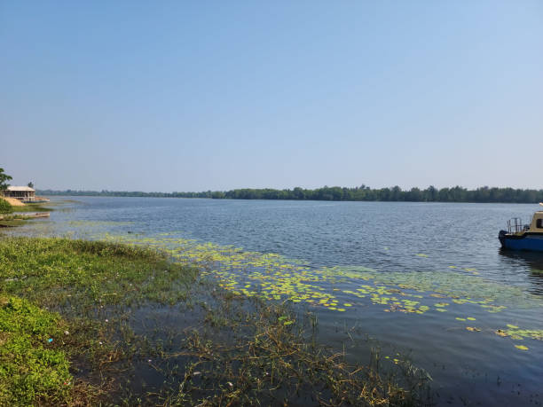 istock Beautiful lake waiting for traveler 1445077880