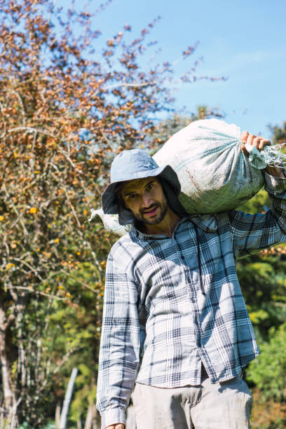 istock Farmer looking at the camera with a sack of manure on his back. 1445077924